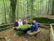 Naturidylle am Keltenfelsen