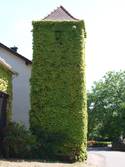 Historischer Glockenturm