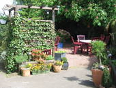 Biergarten "Zum Roseneck"
